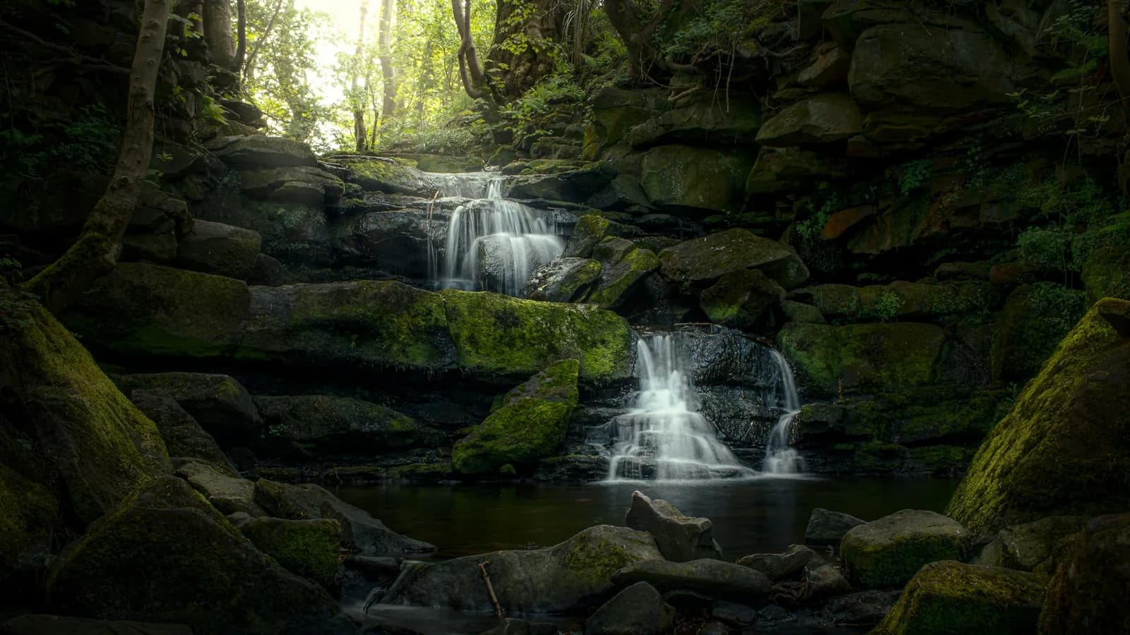 A small waterfall flowing through a green forest